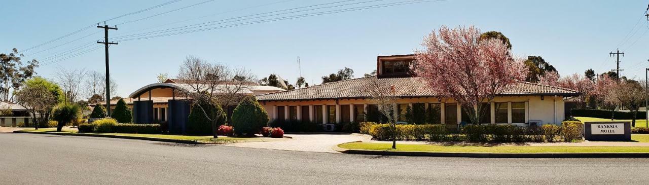 Banksia Motel Collie Zewnętrze zdjęcie
